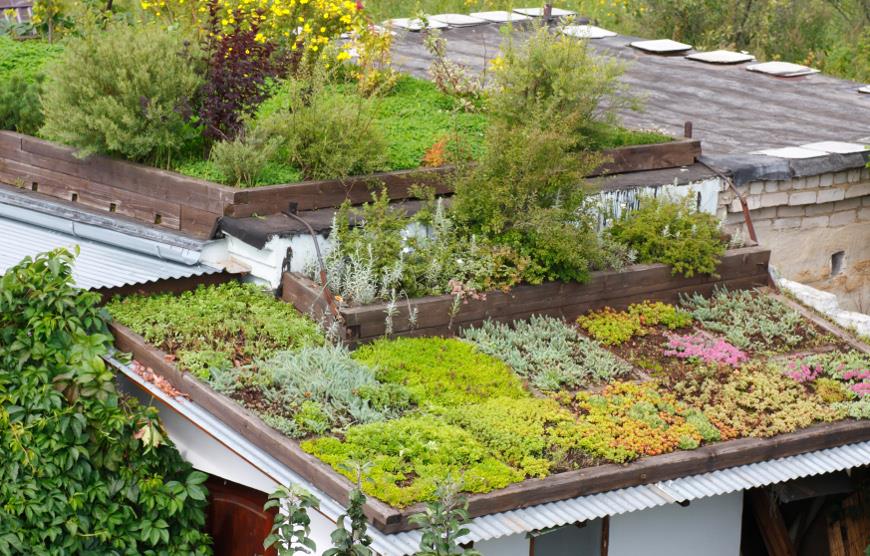 на такий   даху цілком можна виростити невеликий сад
