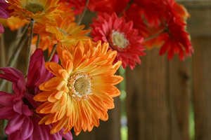 Шукаєте оперативну доставку квітів в Харкові, оскільки збираєтеся йти в гості, запрошені на свято, а може,   сумуєте за коханій людині   і бажаєте нагадати про себе