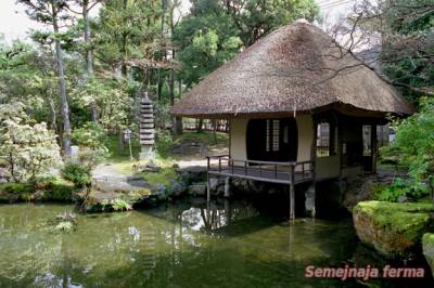 Порівняно з китайськими альтанками, які вписуються в ландшафт будь-якого стилю, японський чайний будиночок може стати елементом архітектури саду виключно в японському стилі