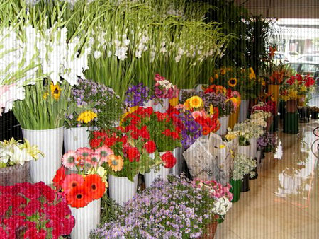 Розведення квітів на продаж - одне з найцікавіших напрямків діяльності для підприємців-початківців